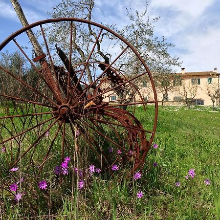 Agriturismo La Torricella ปิสโตยา ภายนอก รูปภาพ