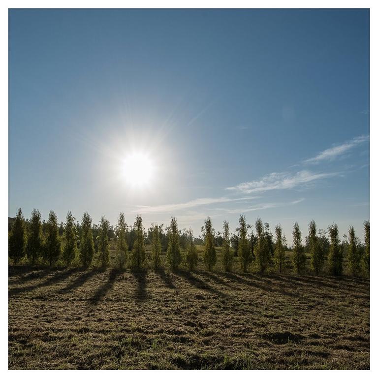 Agriturismo La Torricella ปิสโตยา ภายนอก รูปภาพ
