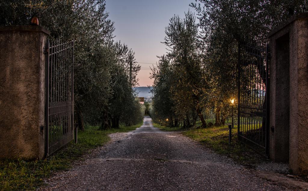 Agriturismo La Torricella ปิสโตยา ภายนอก รูปภาพ