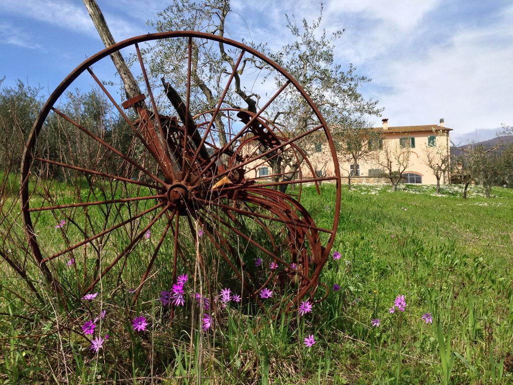 Agriturismo La Torricella ปิสโตยา ภายนอก รูปภาพ